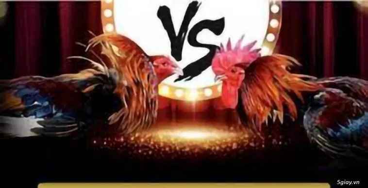 Sân Chơi Đá Gà Moto88 Đỉnh Cao Hài Hước Dành Cho Kê Thủ