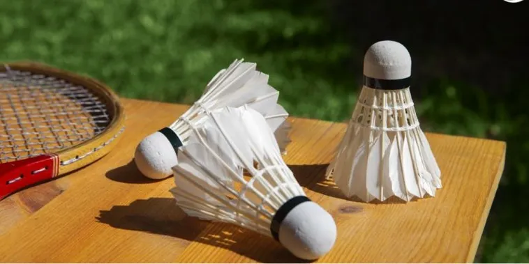 Bật Mí Cách Chơi Cá Cược Cầu Lông Tại Moto88 Luôn Thắng