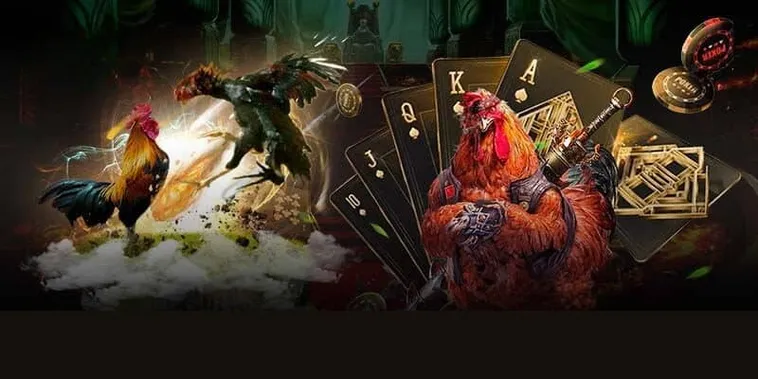 Chiến Thuật Cách Chơi Đá Gà GA28 Tại Moto88 Đem Lại Tiền Tỷ