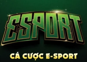 Hướng Dẫn Cách Chơi Thể Thao Điện Tử Tại Moto88 Từ A-Z